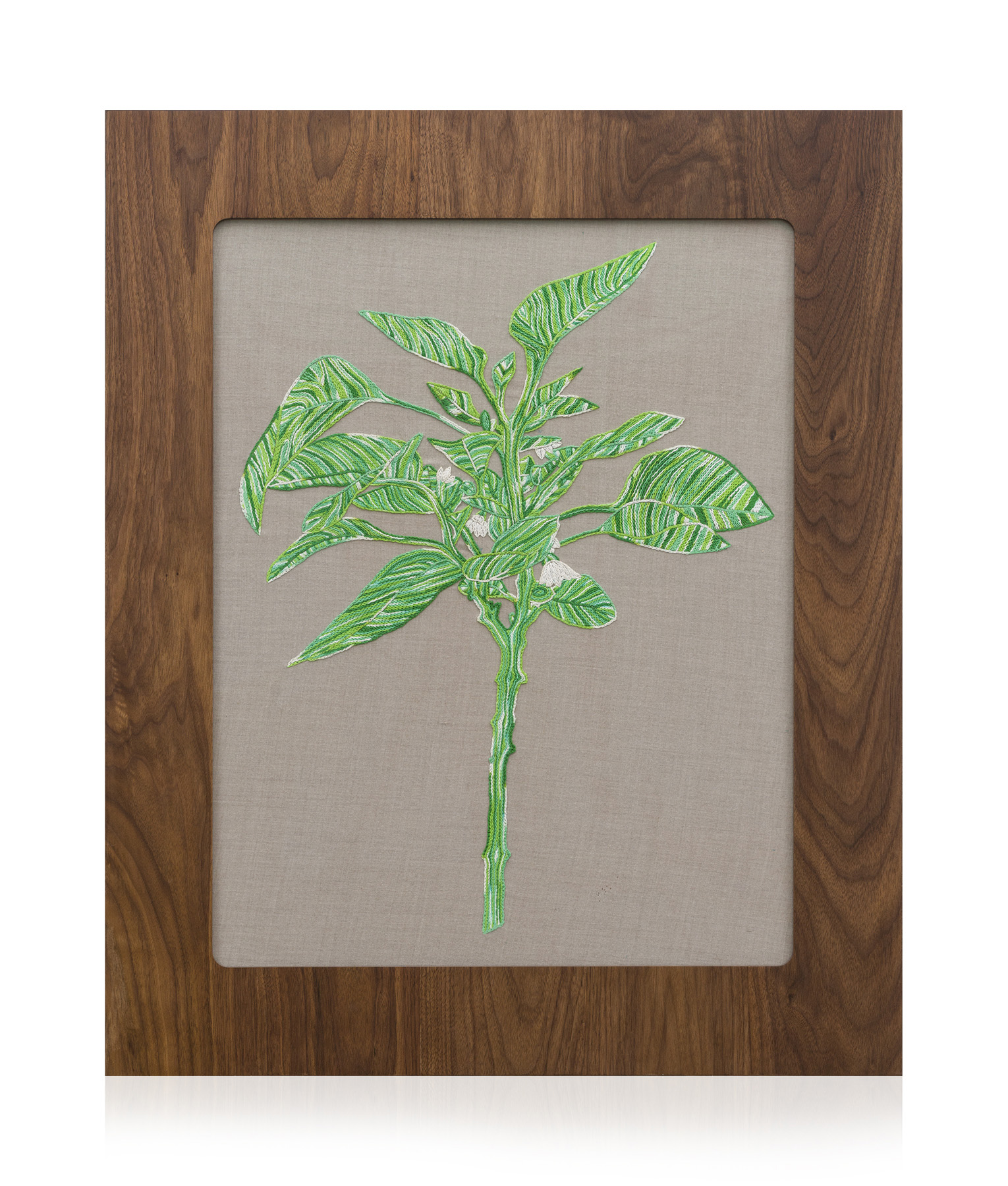 Embroidered Pepper Plant 1